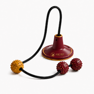 Interactive Cat Ball Teaser Toy