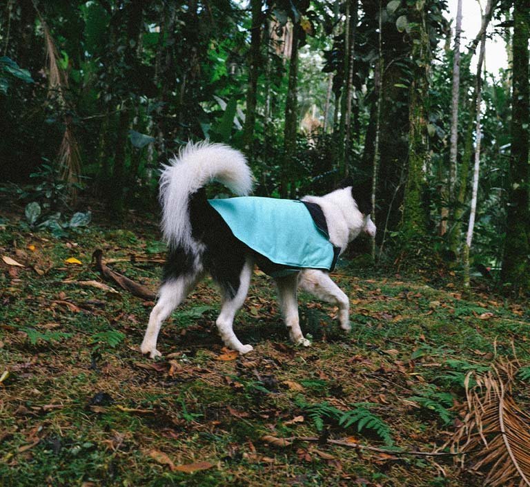 Mint | Winter Coat - Image 8